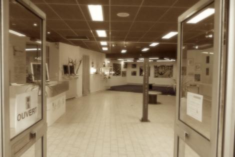 Paulove présente six réalisations à la galerie Chercheur d'artistes.