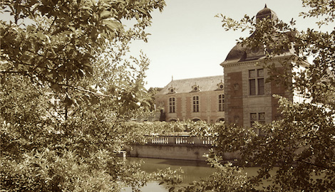 Paulove à l'Orangerie